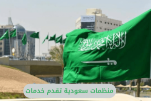 منظمات سعودية تقدم خدمات