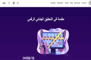 التحقيق الجنائي الرقمي