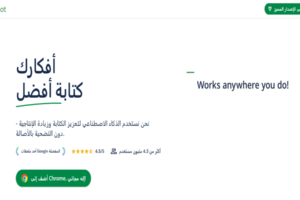تدقيق النصوص العربية