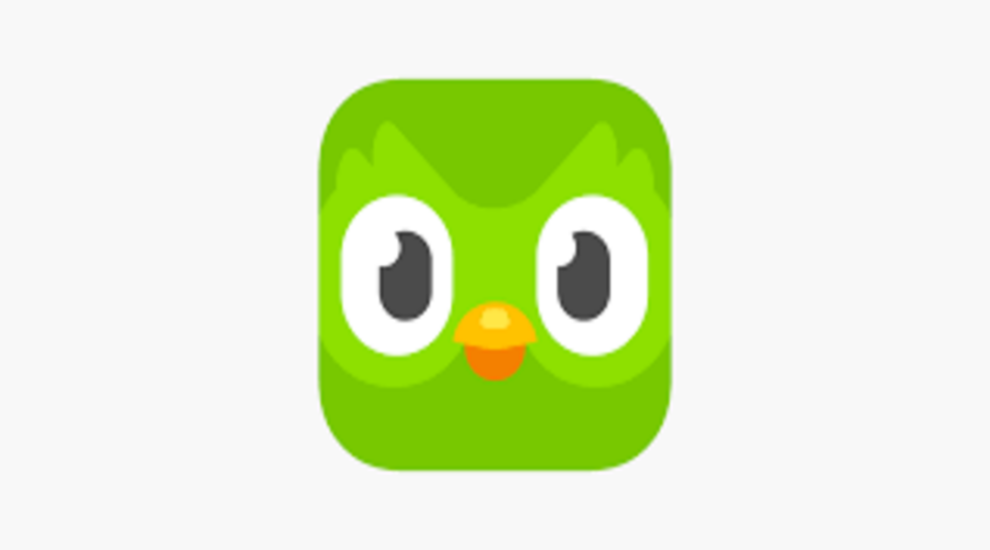 تطبيق دولينجو Duolingo