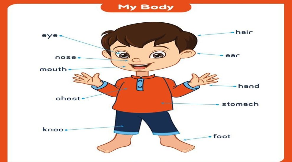 تعليم الانجليزية للأطفال