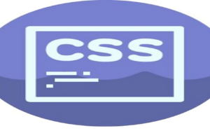 كورس CSS