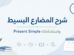 المضارع البسيط Simple Present